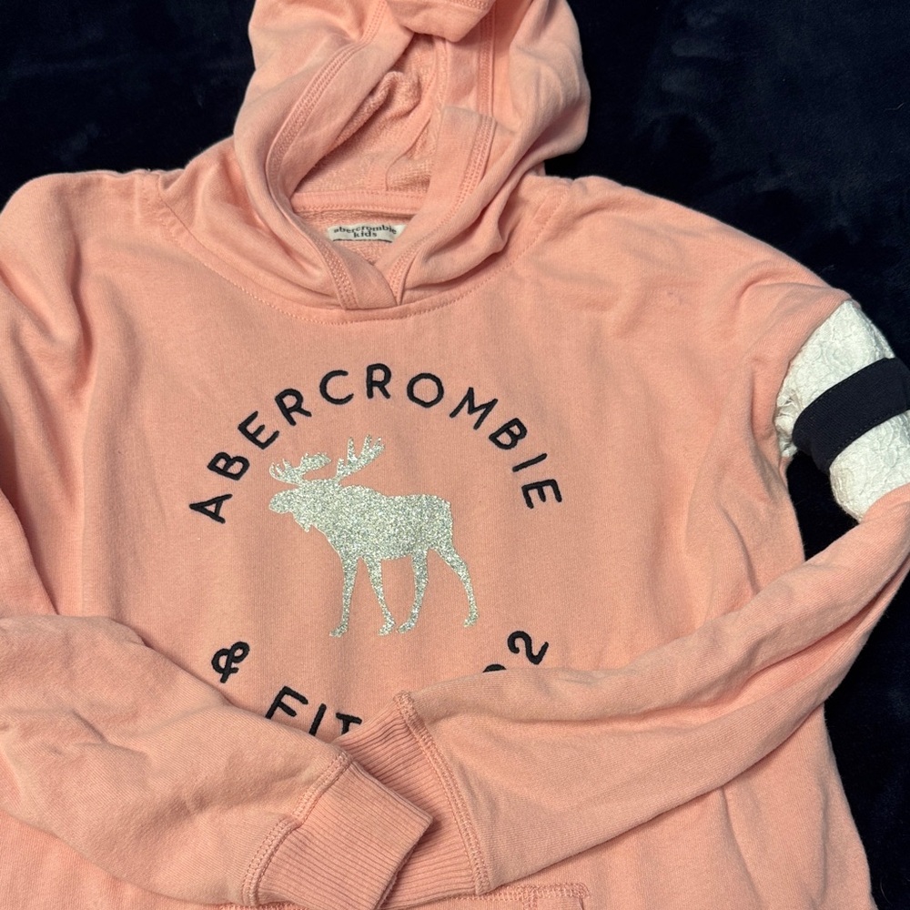 Abercrombie & Fitch Coral Sweatshirt with Moose Graphic